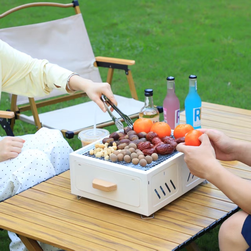 Griglia portatile a carbone pe - Outdoor Furniture Metal recensione e prezzo