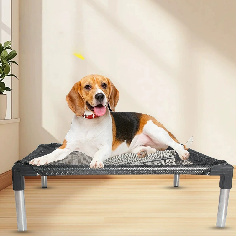 Letto per cani rialzato rinfre - Outdoor Daybed Sofa recensione e prezzo